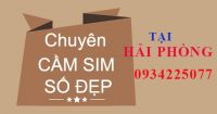 Dịch vụ cầm sim số đẹp Hải Phòng